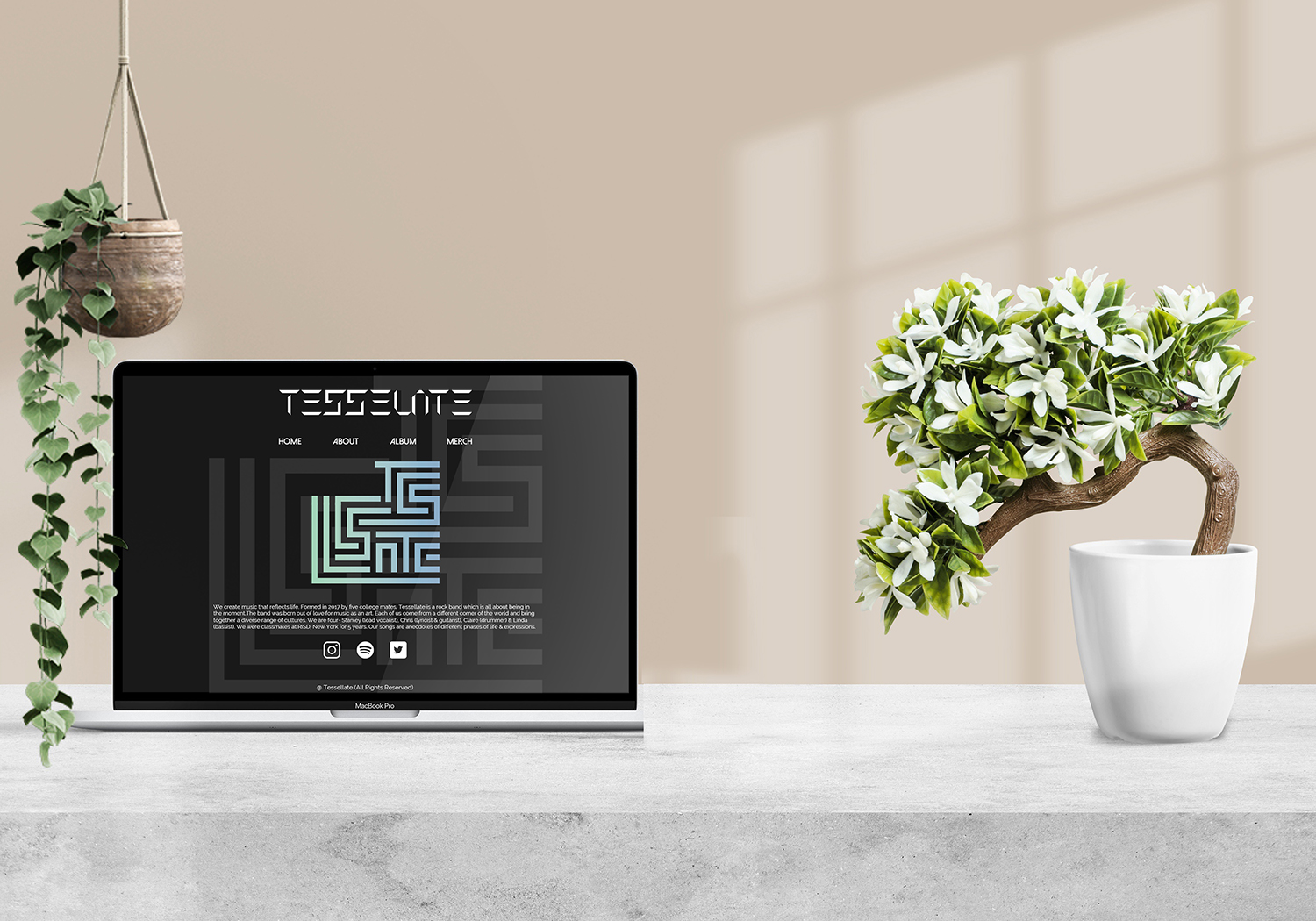 image of the homepage of Tessellate website