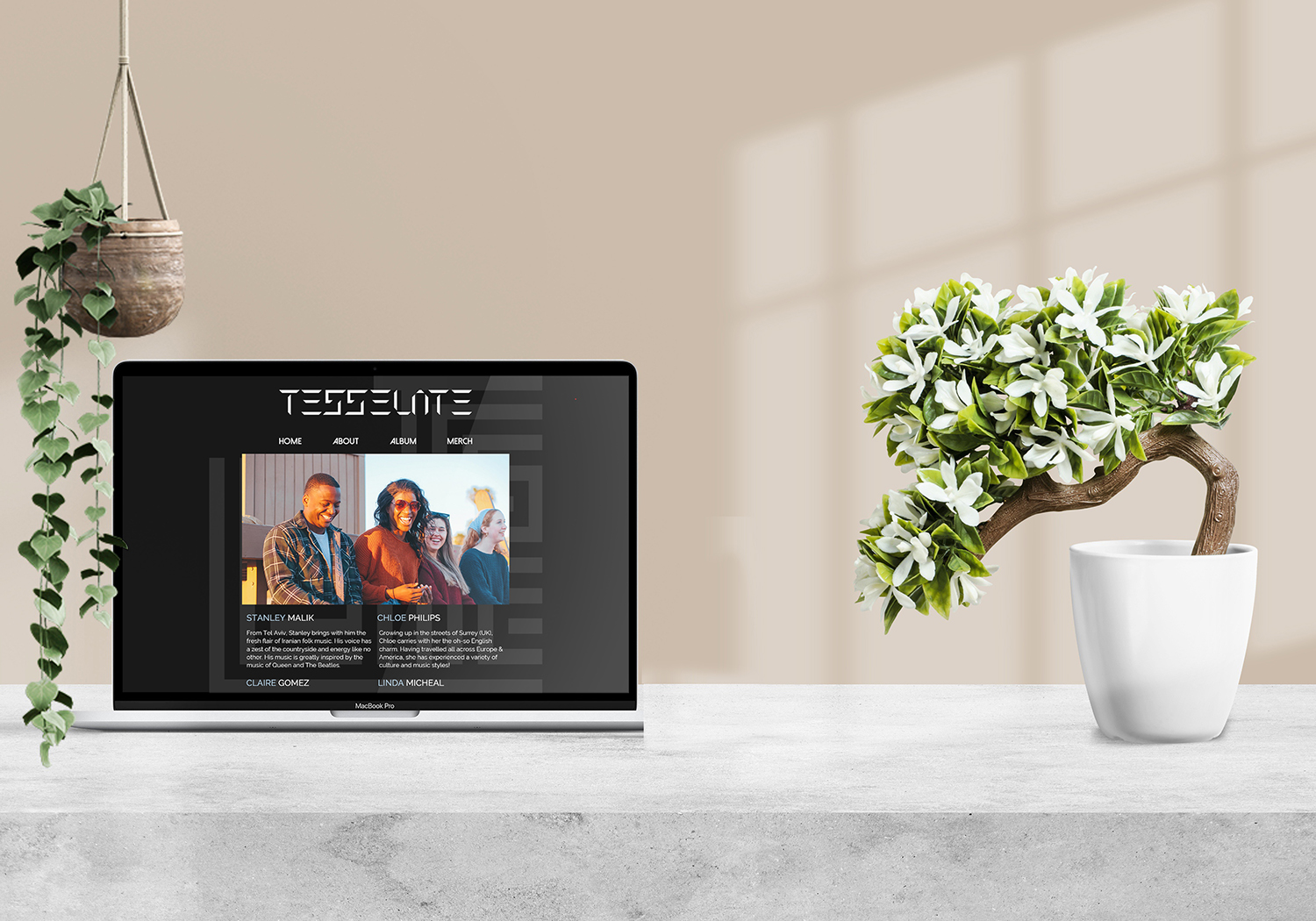 Image of the merchandise webpage