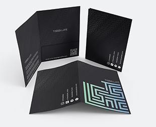 a file folder of the band- tessellate